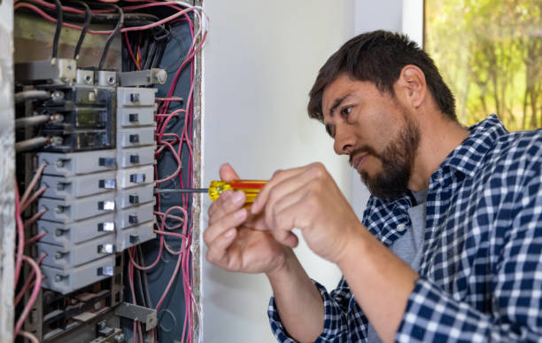 Best Electrician for Home Renovation  in Albany, KY